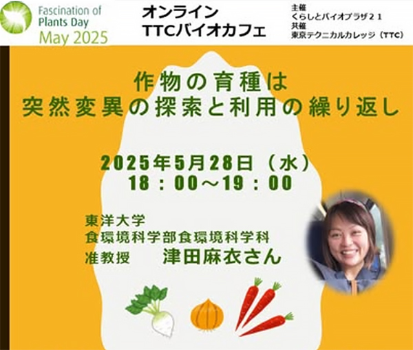 案内チラシ