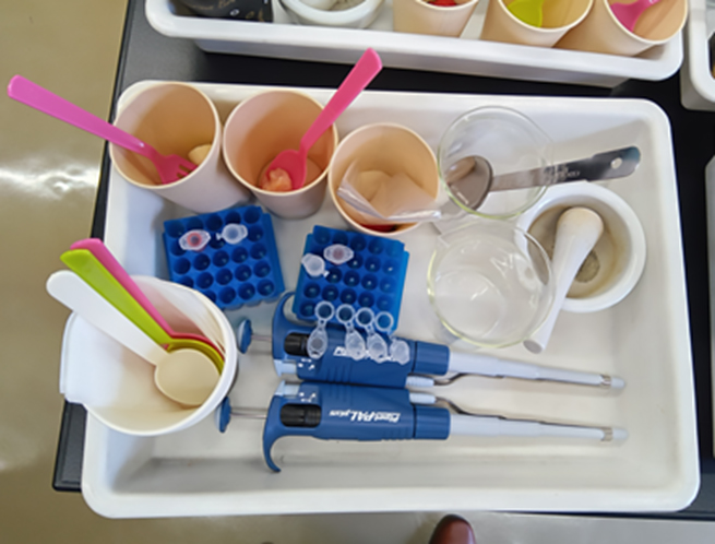 立教女学院中学校